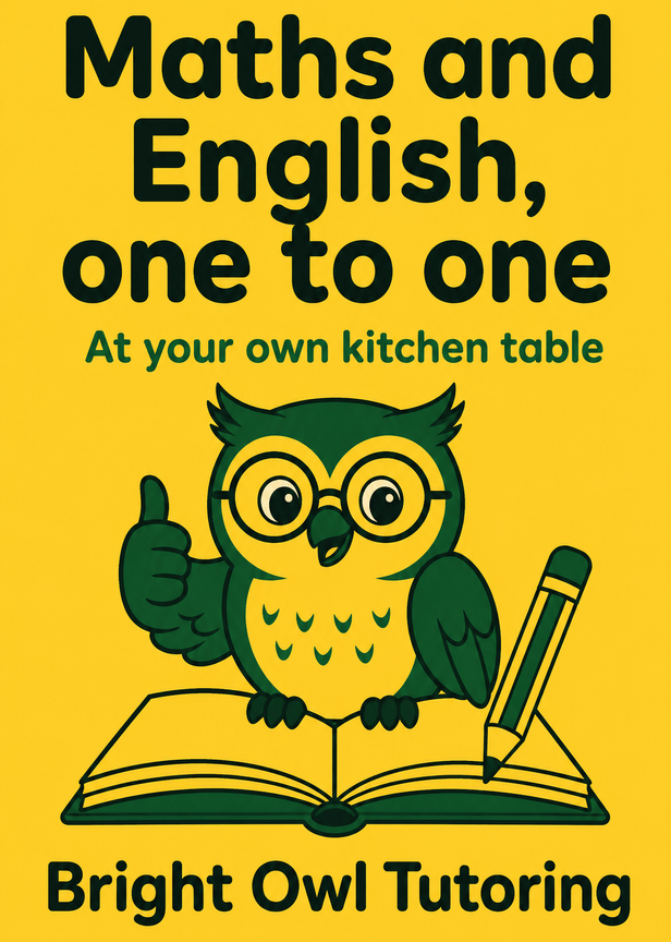 A yellow leaflet for a tutor, with an owl in glasses over an open book and a pencil. An example for Bright Owl Tutoring, a fictional tutor.
